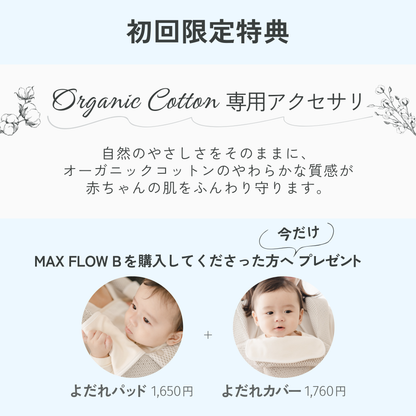 MAX FLOW B (マックスフロービー)